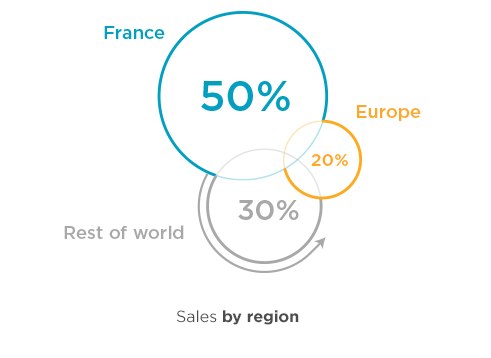 Sales by geographical area